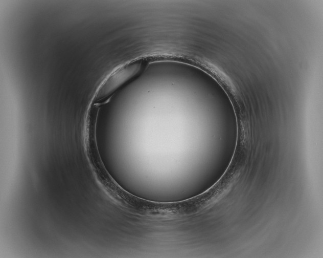 X0000115490580200911131237