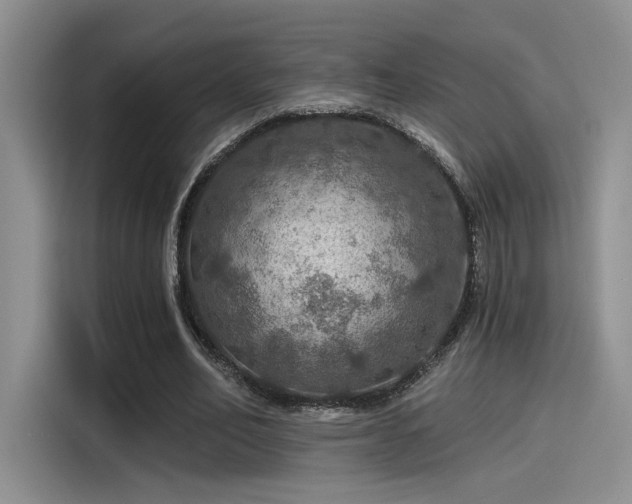 X0000115490582200911131237