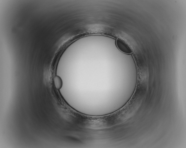 X0000115490583200911131237