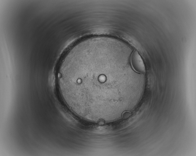 X0000115490584200911131237