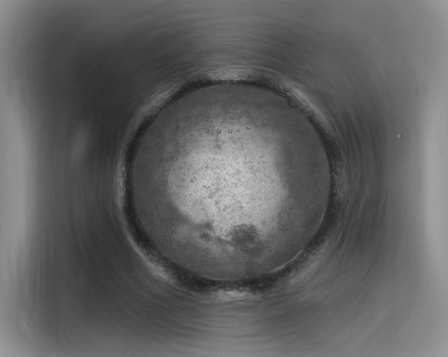 X0000115490586200911131237