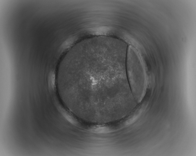 X0000115490589200911131237