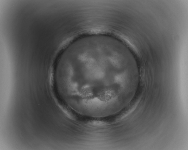 X0000115490590200911131237