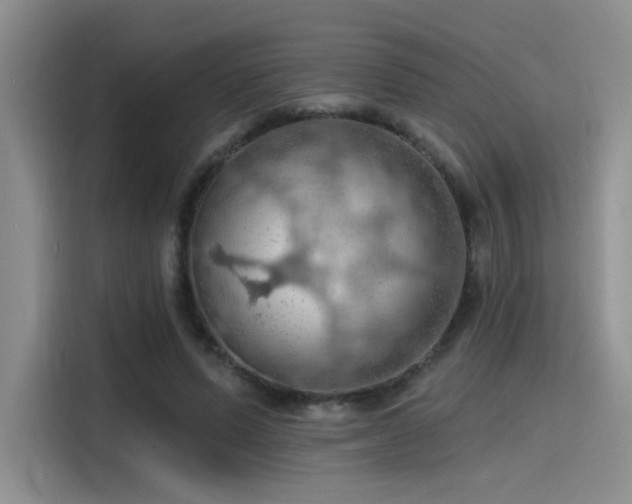 X0000115490591200911131237