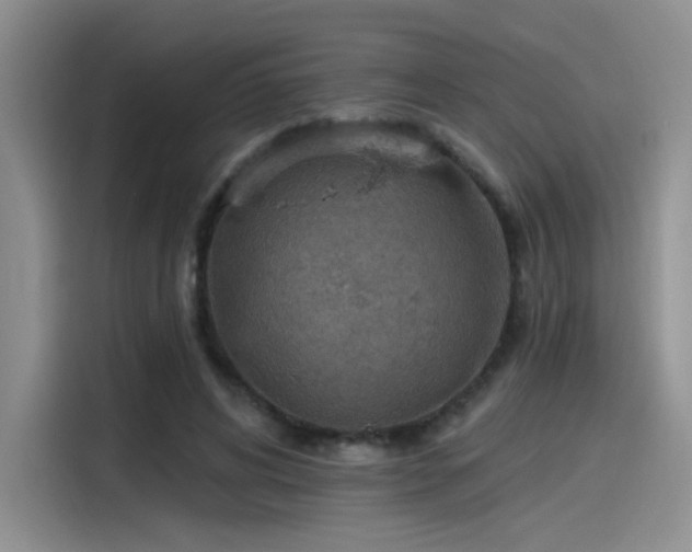 X0000115490592200911131237