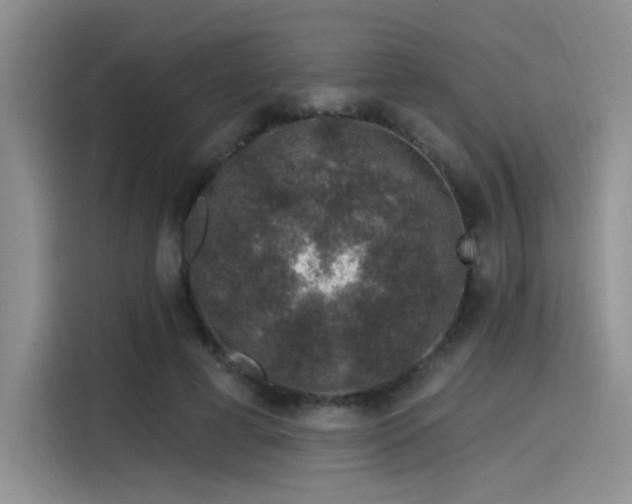 X0000115490593200911131237