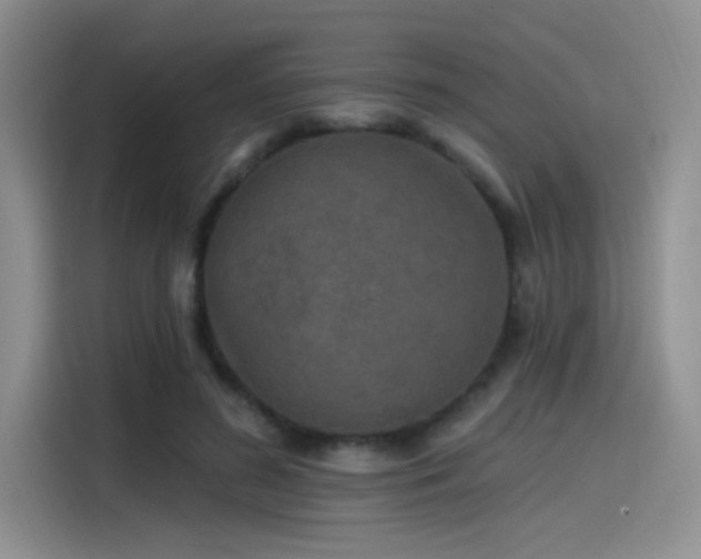 X0000115490596200911131237