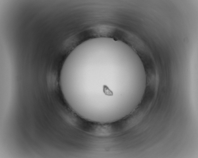X0000115490599200911131237