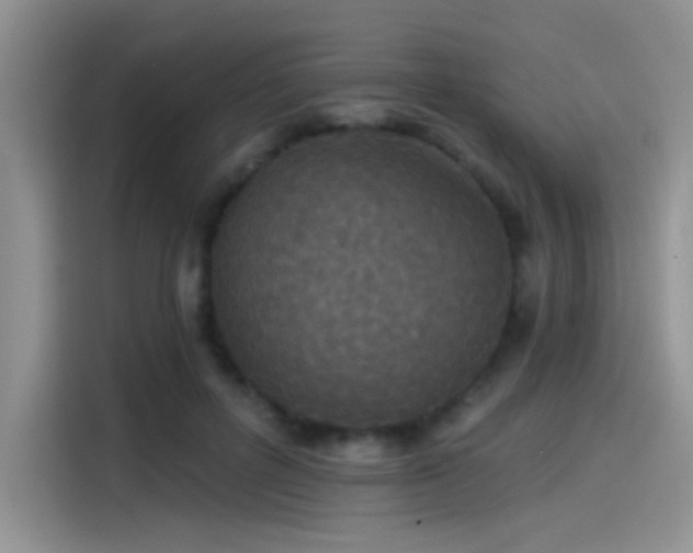 X0000115490600200911131237