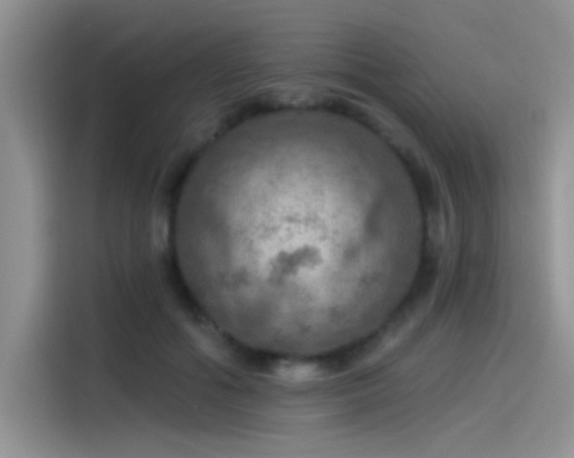 X0000115490602200911131237