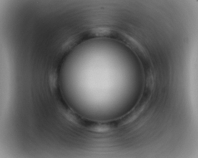 X0000115490604200911131237