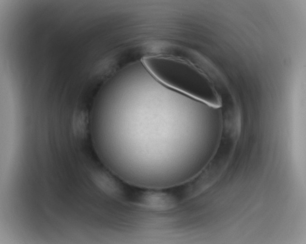 X0000115490605200911131237