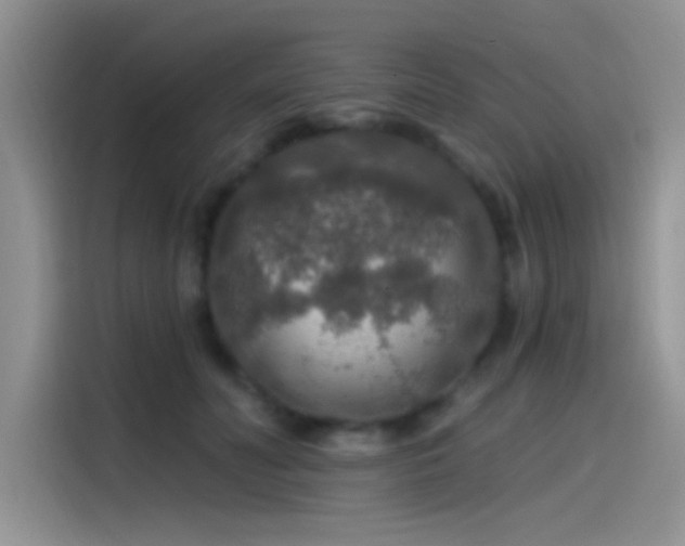 X0000115490606200911131237