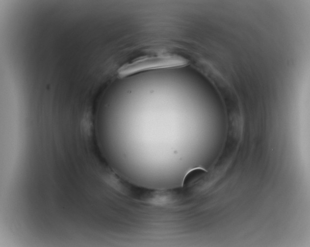 X0000115490612200911131237