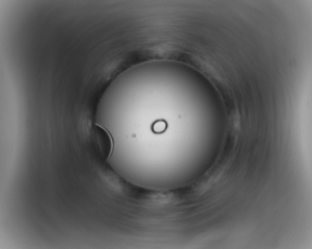 X0000115490615200911131237
