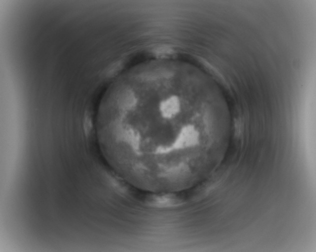 X0000115490618200911131237