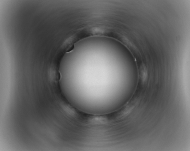 X0000115490619200911131237
