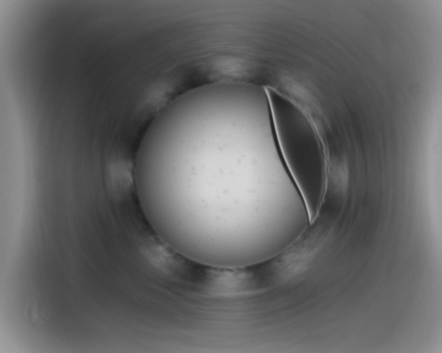 X0000115490621200911131237