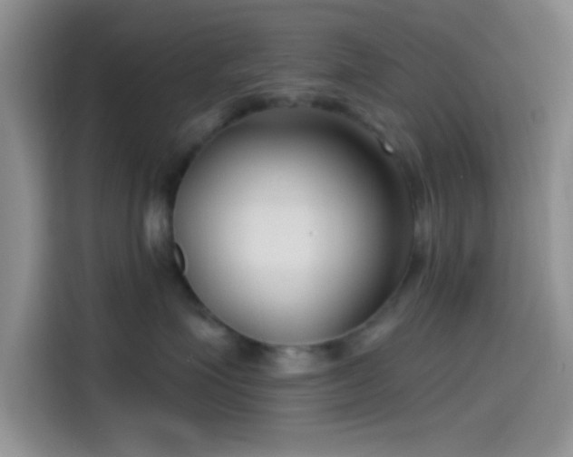 X0000115490623200911131237
