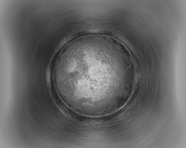 X0000115490626200911131236
