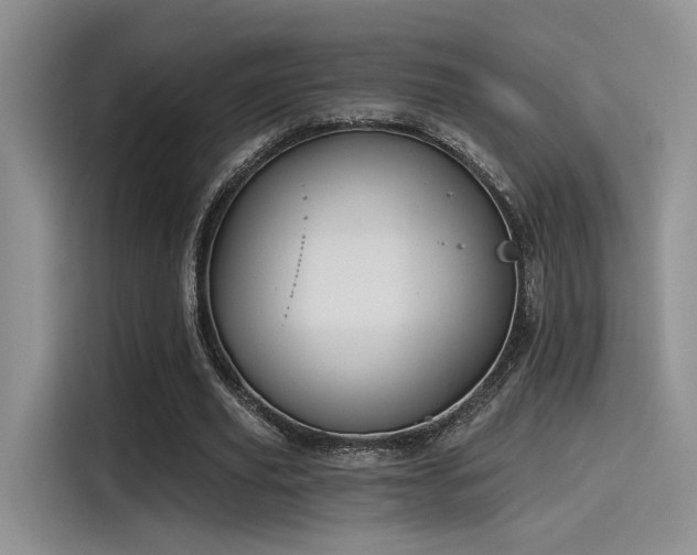 X0000115490629200911131236