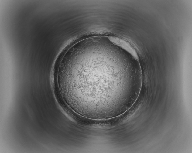X0000115490630200911131236