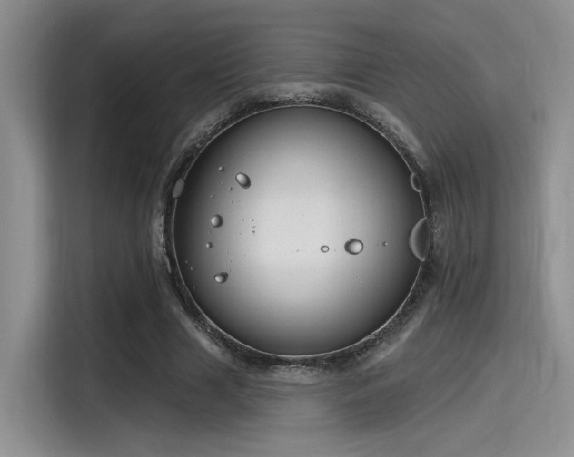 X0000115490633200911131236