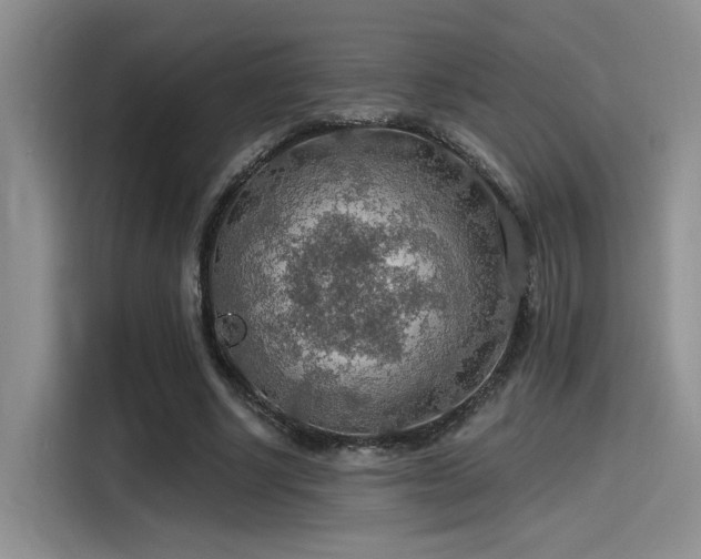 X0000115490634200911131236