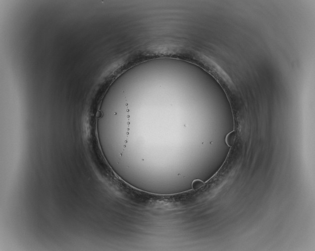 X0000115490635200911131236