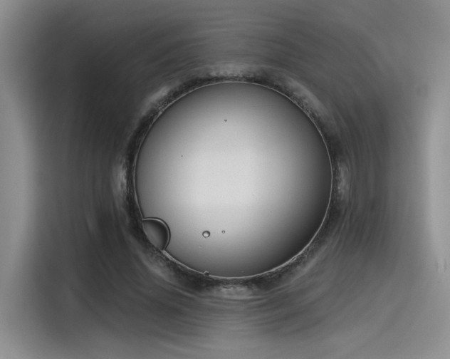 X0000115490636200911131236