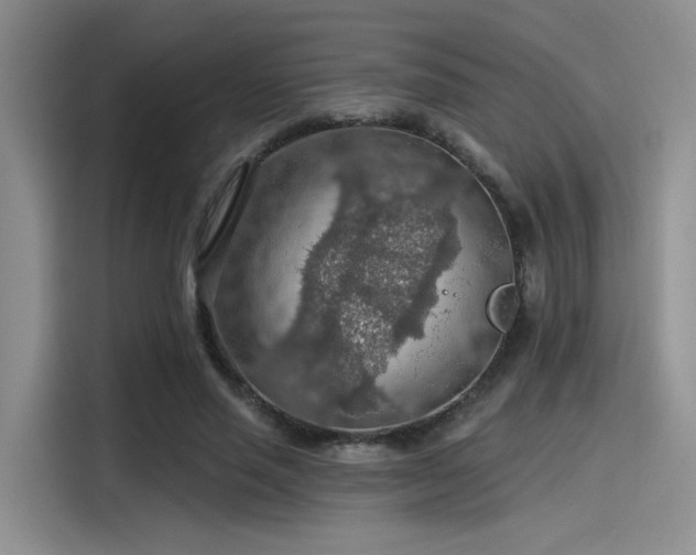 X0000115490637200911131236