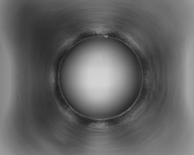 X0000115490639200911131236