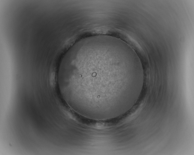 X0000115490641200911131236