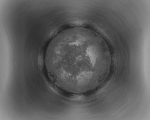 X0000115490642200911131236