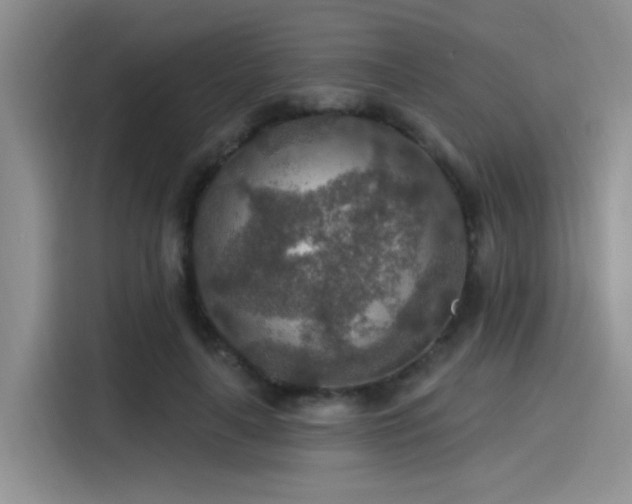 X0000115490643200911131236