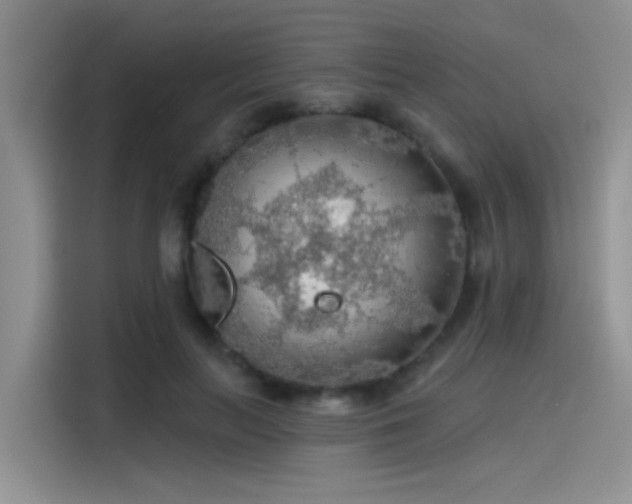 X0000115490647200911131236