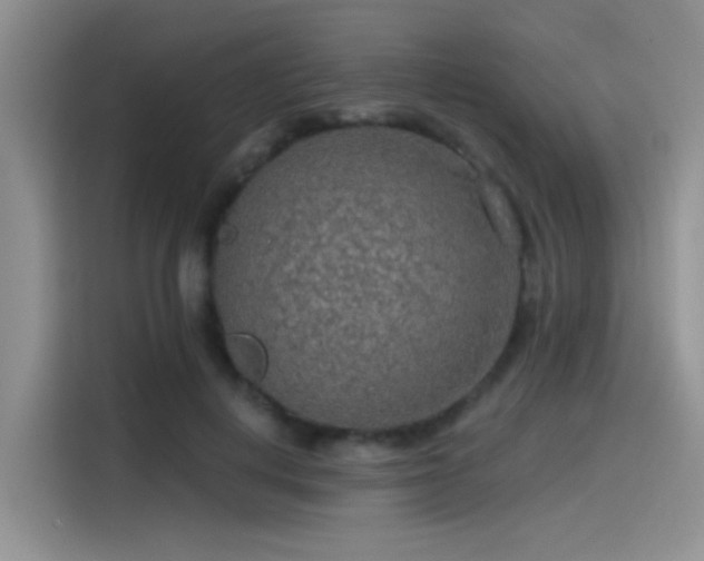 X0000115490648200911131236