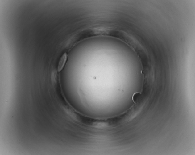 X0000115490649200911131236