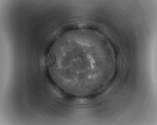 X0000115490650200911131236