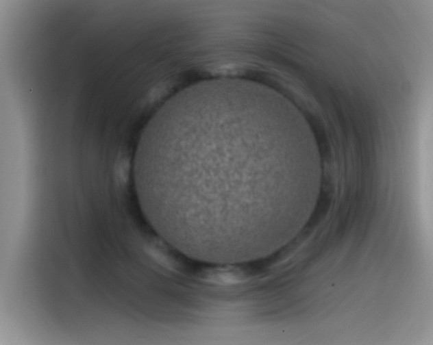X0000115490652200911131236