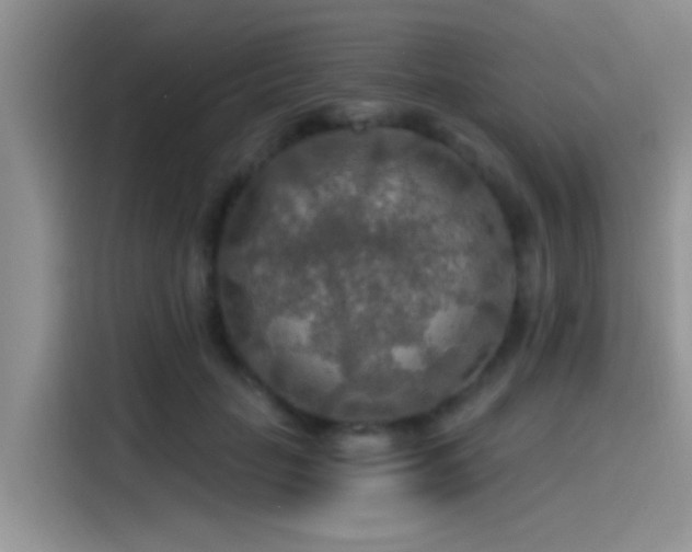 X0000115490653200911131236