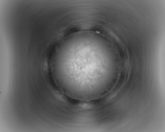X0000115490655200911131236