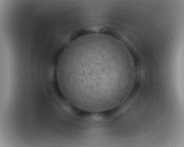 X0000115490656200911131236