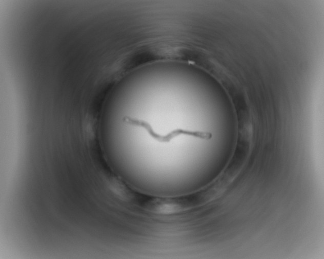 X0000115490658200911131236