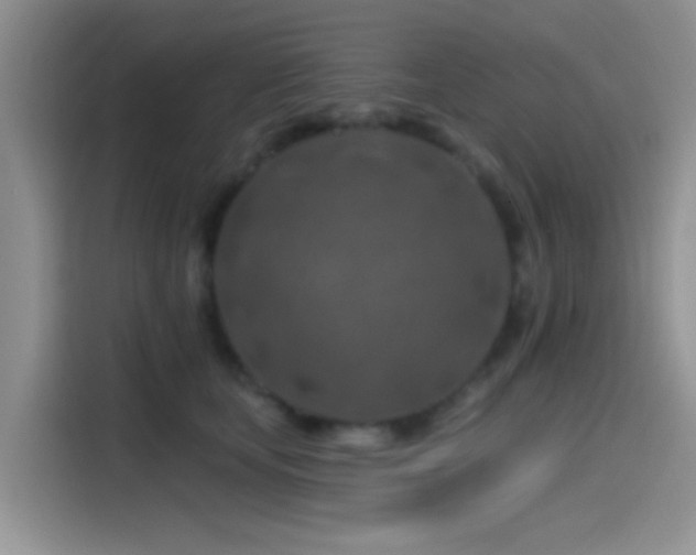 X0000115490659200911131236
