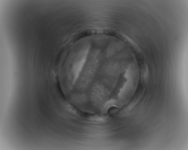 X0000115490661200911131236