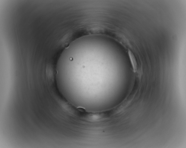 X0000115490662200911131236