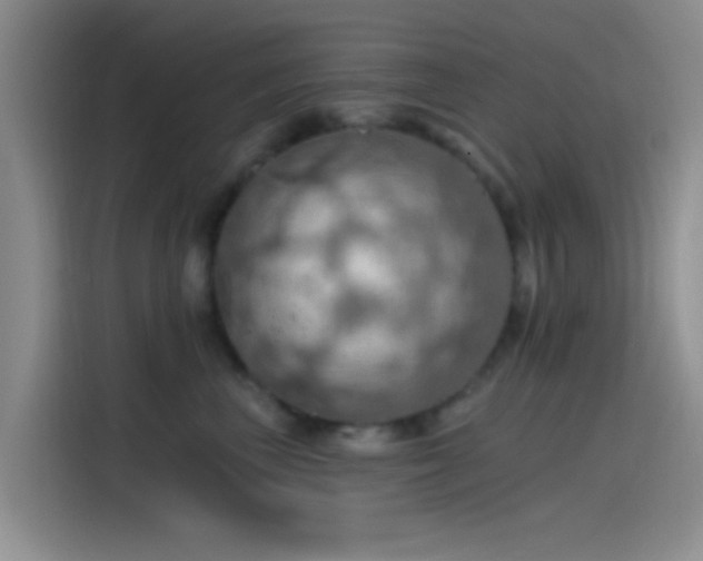 X0000115490667200911131236