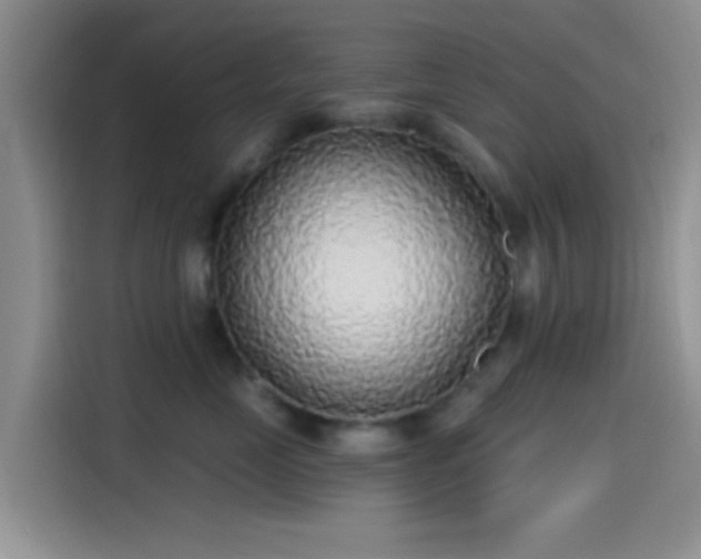 X0000115490669200911131236