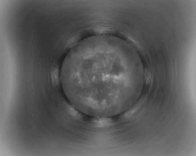 X0000115490670200911131237